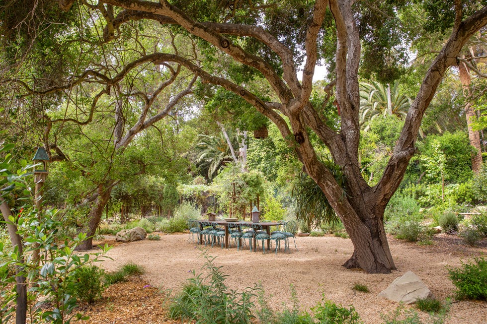 A Montecito Garden Returns to Its Ultimate Glory After Disaster