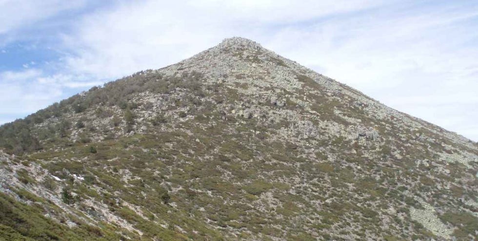 montón de trigo