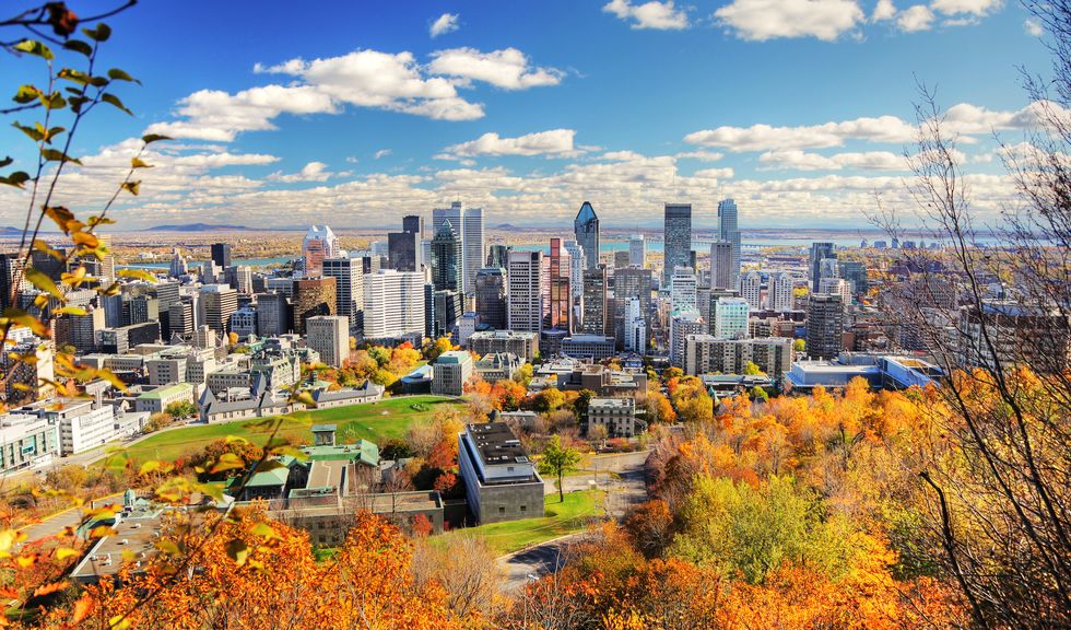 a mountain view of montreal city, canada in the fall  the sky is clear and it is a sunny day  a cluster of gray, multiple sized buildings are visible in the center of the photo  lush, fall foliage lines the front of the image, and a body of water is visible in the back of the photo
