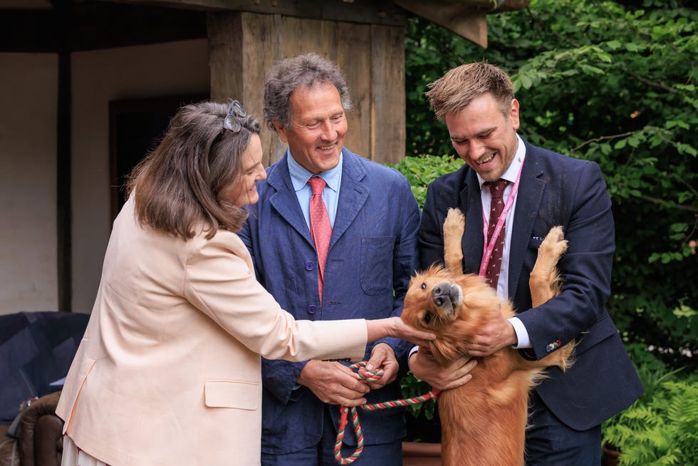 group of people handling a playful dog