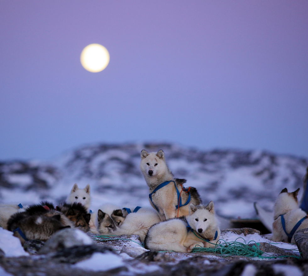 January’s Full 'Wolf Moon' Eclipses Mars In 2025 What It Means