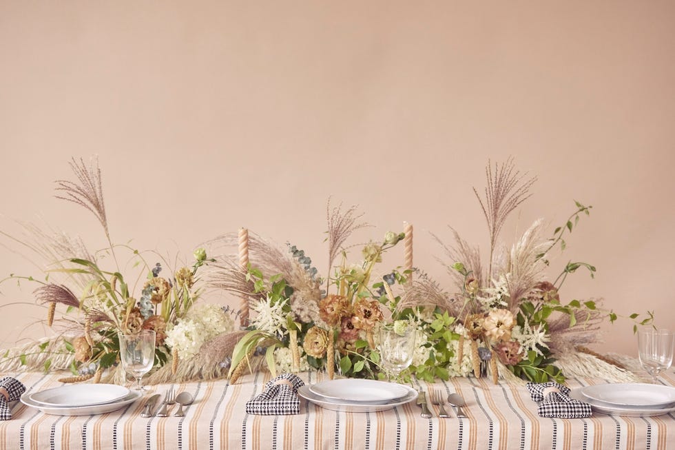 Plant, Flowerpot, Botany, Flower, Grass family, Floral design, Ikebana, Floristry, Grass, Tree, Plant, Flowerpot, Botany, Flower, Grass family, Floral design, Ikebana, Floristry, Grass, Tree,