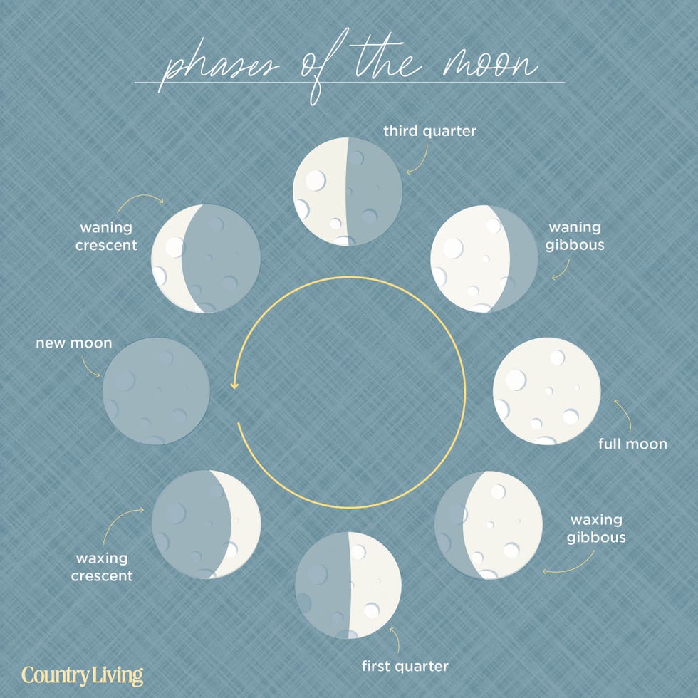 The Moon Phases Explained Diagram Included 