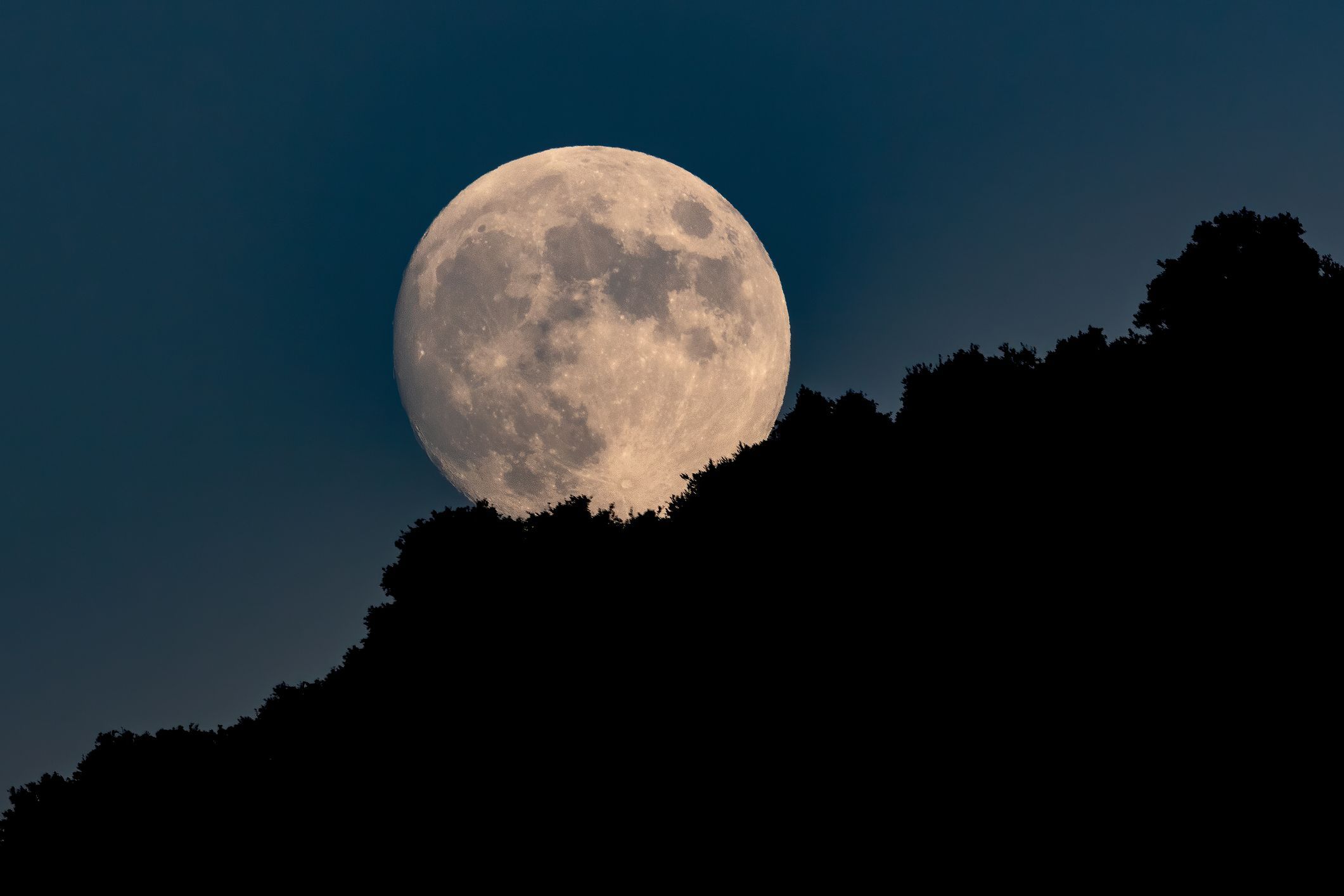 Dark Moon And Moon Rising Over Tree In A River Background, Cool