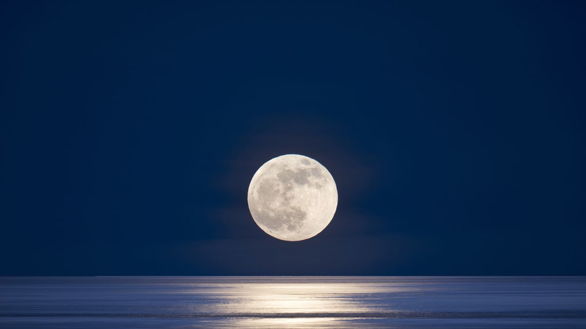 満月いつ】2023年7月3日は満月「バックムーン」！ 見える時間や方角を解説