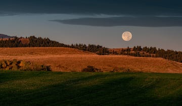 a full fall harvest moon sets over farmland in kamloops, british columbia