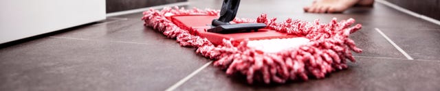 Best floor mops 