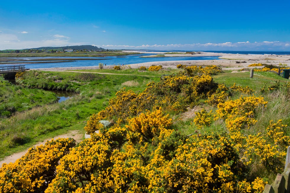 a path overlooking spey bay