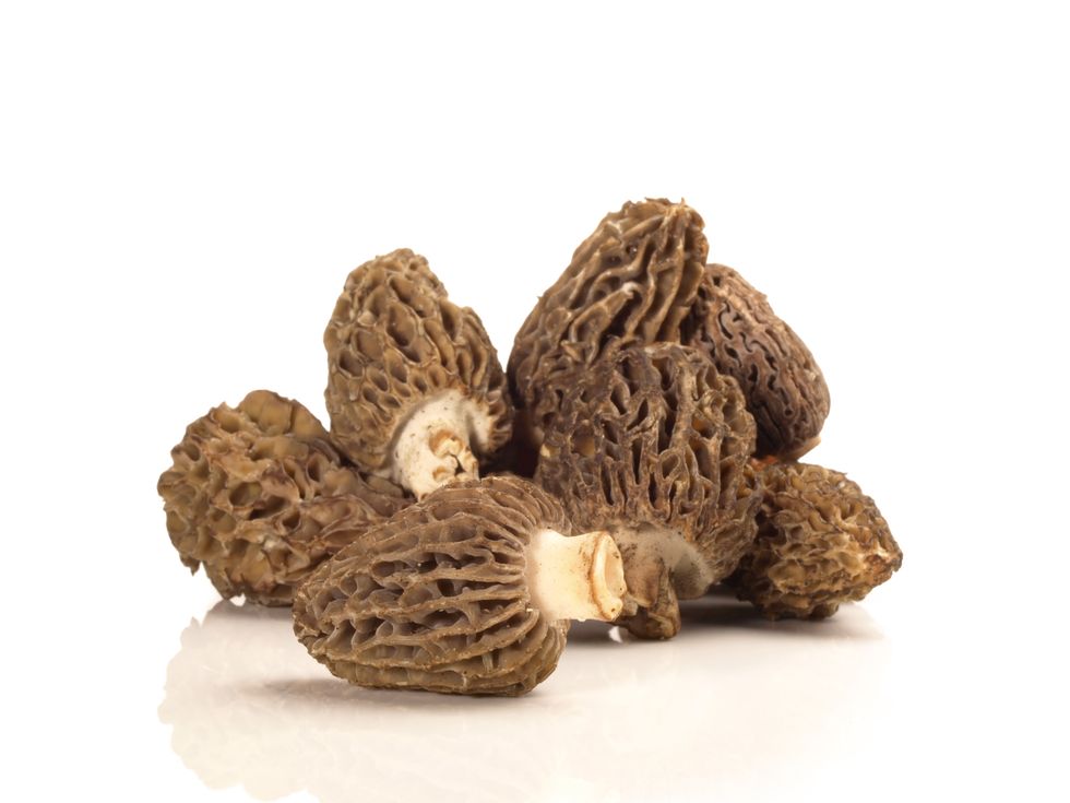 morel mushrooms on white background