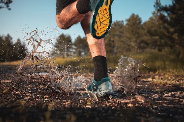 morning jogging in a forest