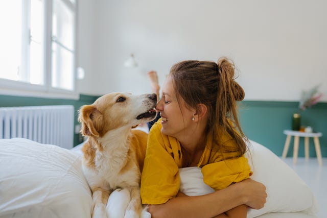 mornings with my dog