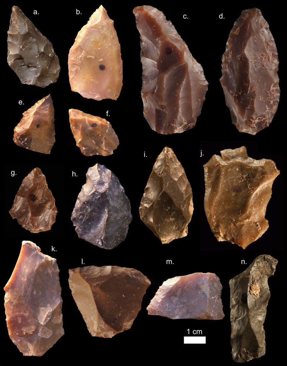 Dit gereedschap uit de Middle Stone Age onder meer punten schrapers en vuistbijlen werd gevonden in de zesde en zevende opgravingslaag bij Jebel Irhoud Alle nieuw ontdekte resten van mensachtigen met uitzondering van een tand komen uit het onderste deel van de afzetting in laag zeven Dit wijst erop dat het ontstaan van onze soort de moderne Homo sapiens en het begin van de Middle Stone Age in tijd dichtbij elkaar lagen en dat de mensheid mogelijk een panAfrikaanse oorsprong heeft