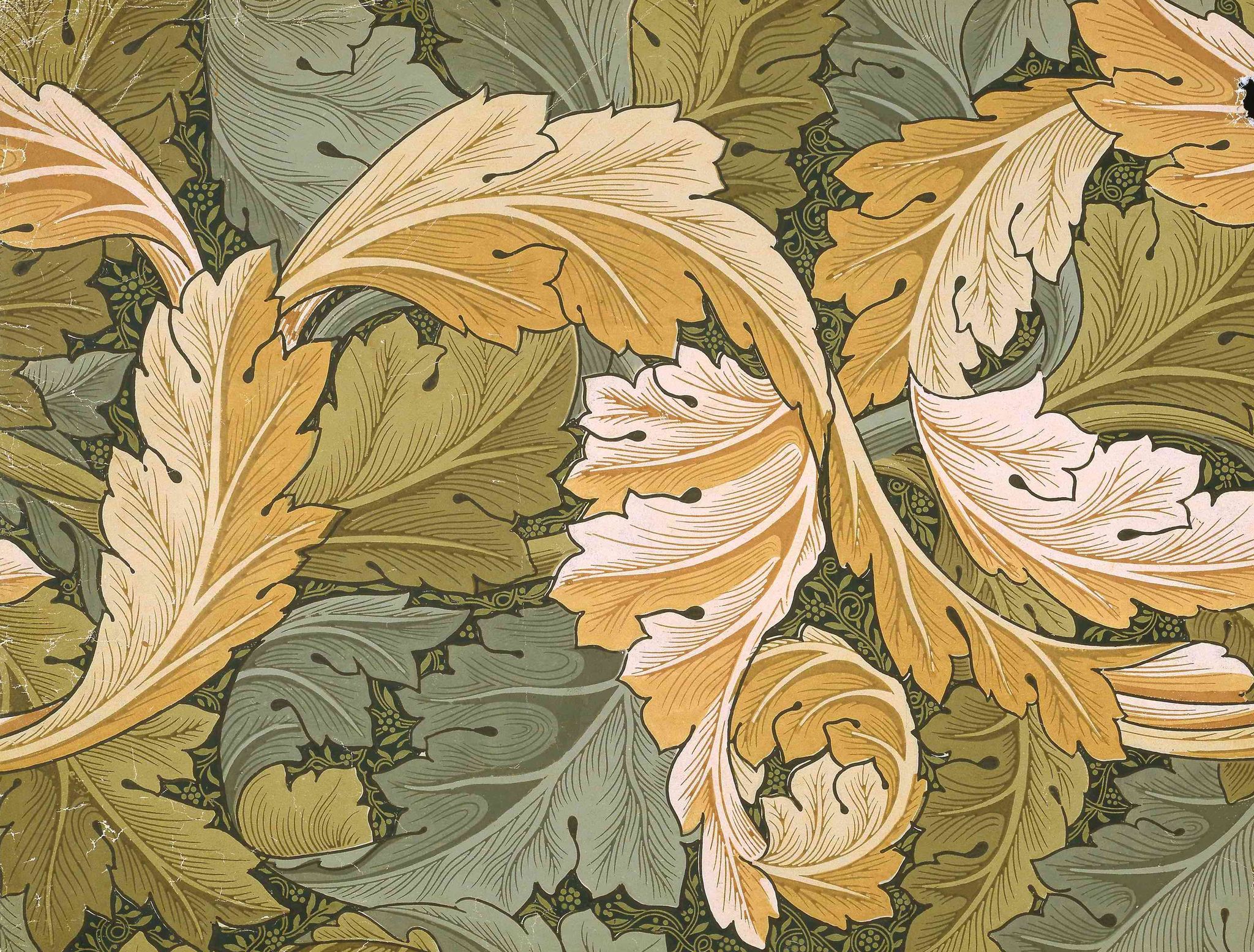 acanthus fabric, william morris