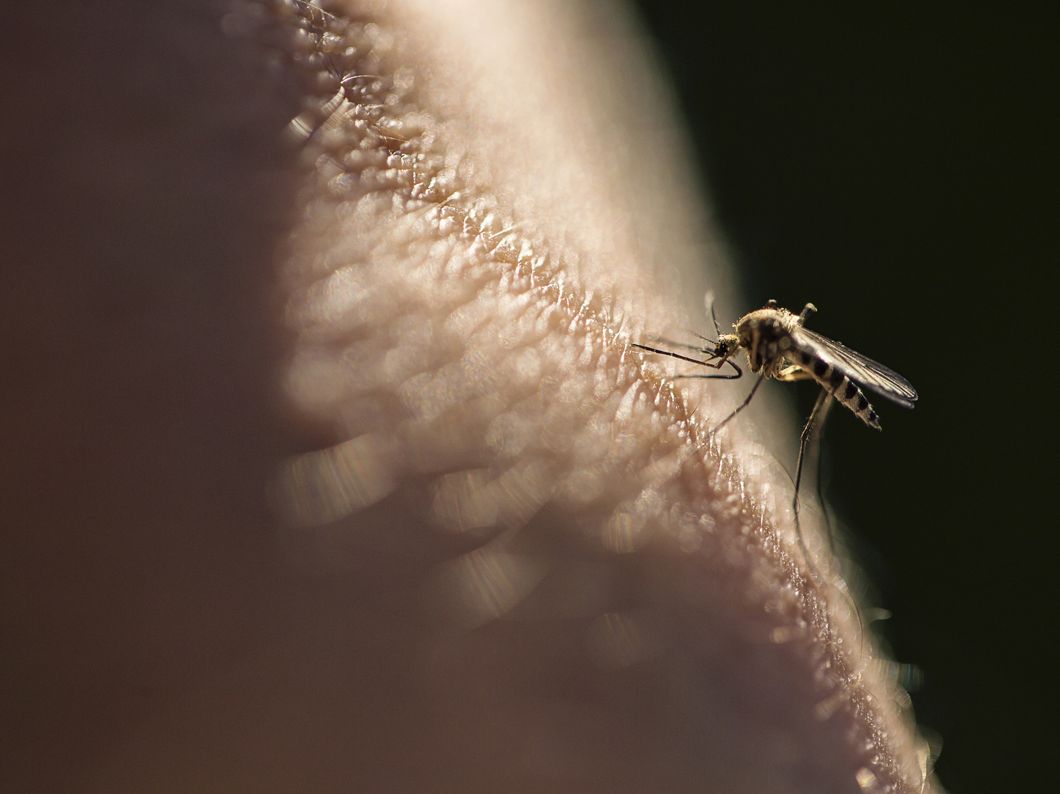 Son efectivas las pulseras antimosquitos?