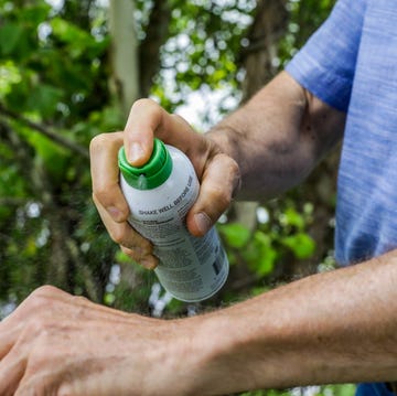 spraying bug spray on arm spraying bug spray on arm