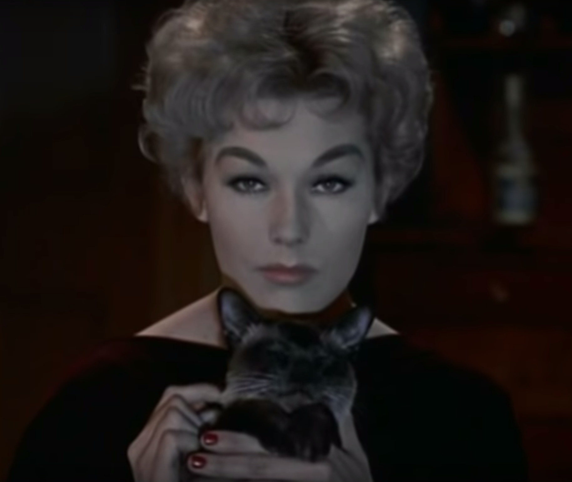 The 25 most iconic movie cats