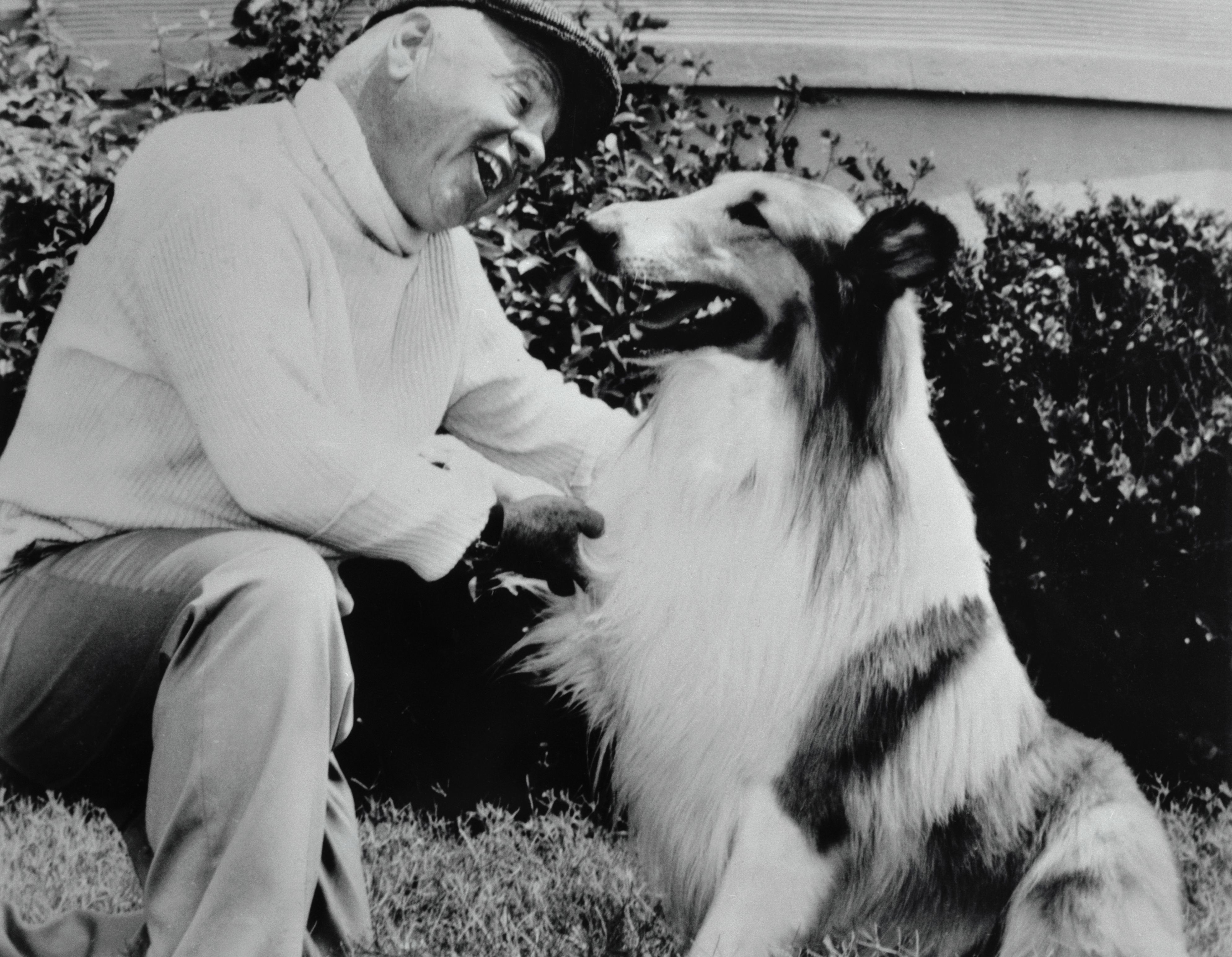 Lassie” star talks of life with and without the dog