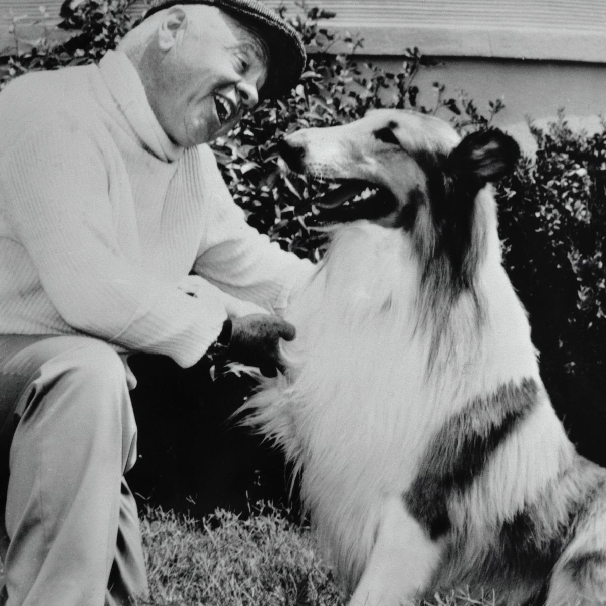 The Original 'Lassie' Dog, Pal, Lived to Be Almost 20 and Came to Set Even  After He Retired