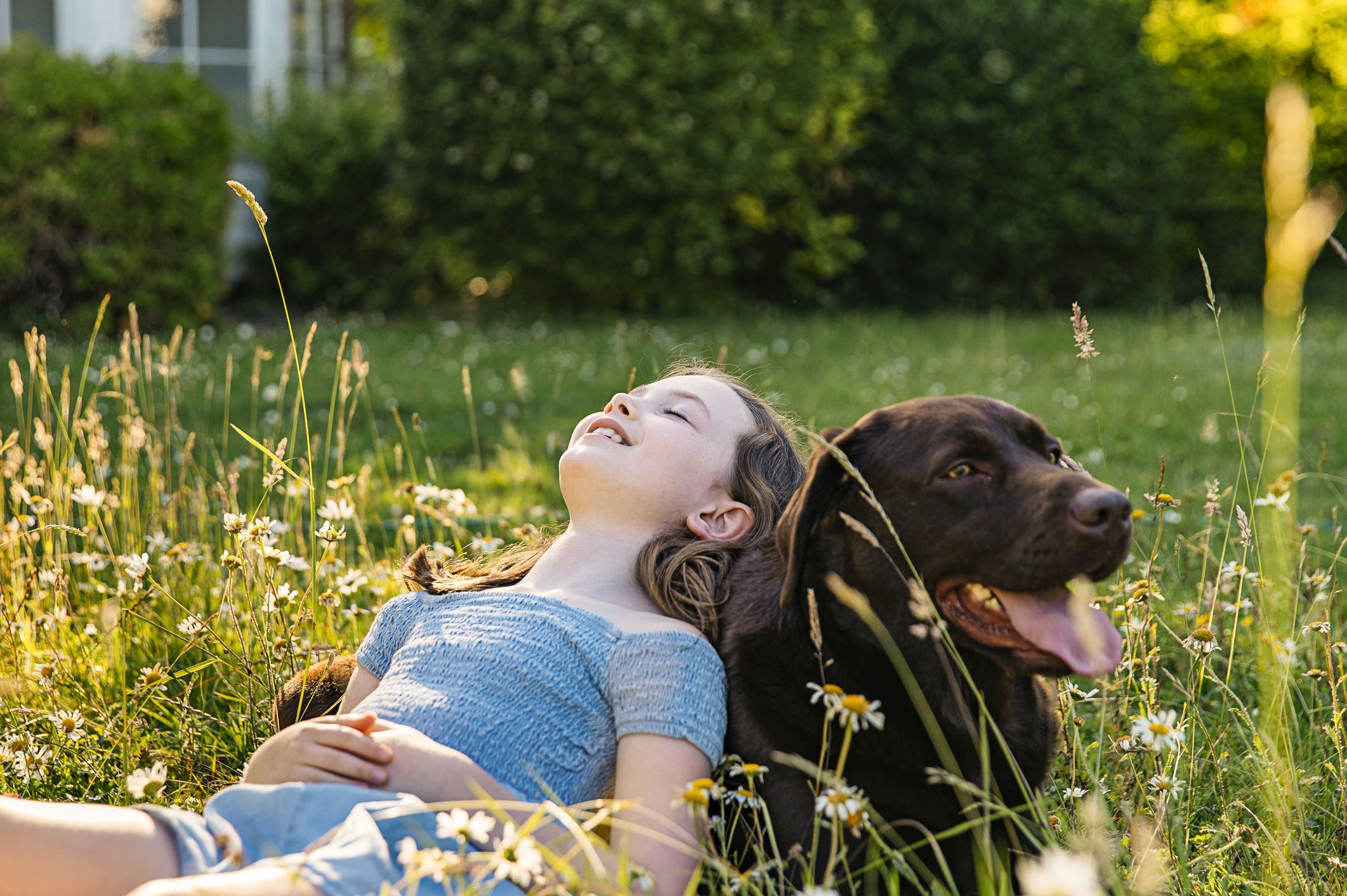 20 Most Loyal Dog Breeds to Include in Your Family