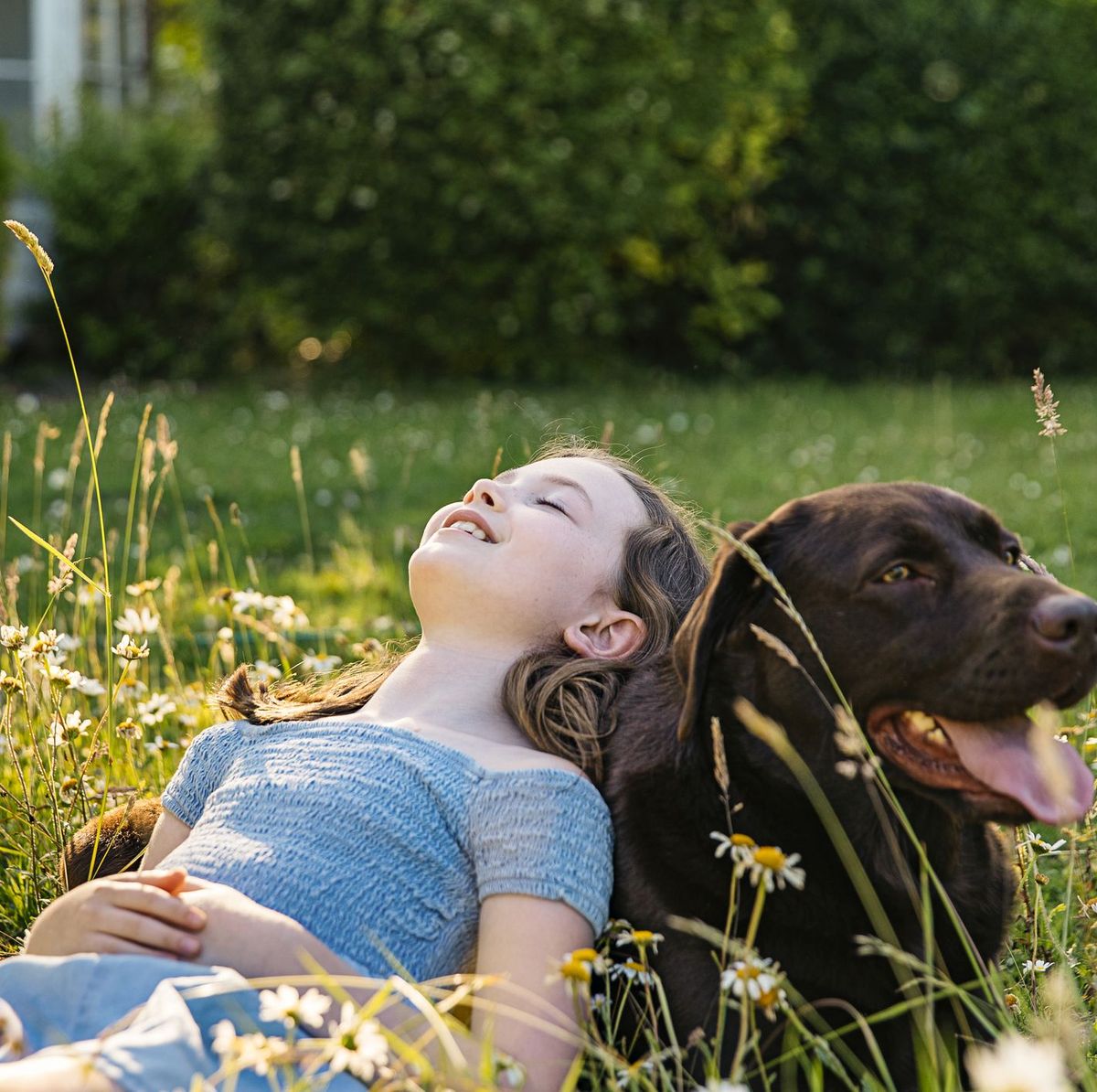5 Close-to-Home Outdoor Activities that Dogs Love