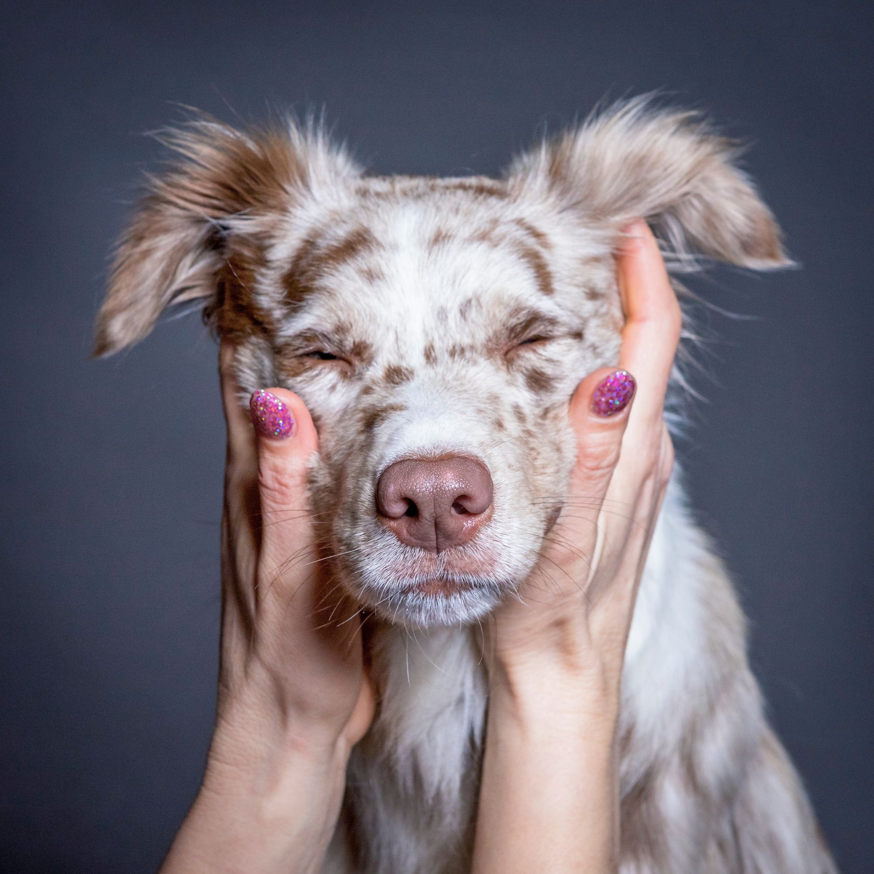 loyalty pictures with dogs