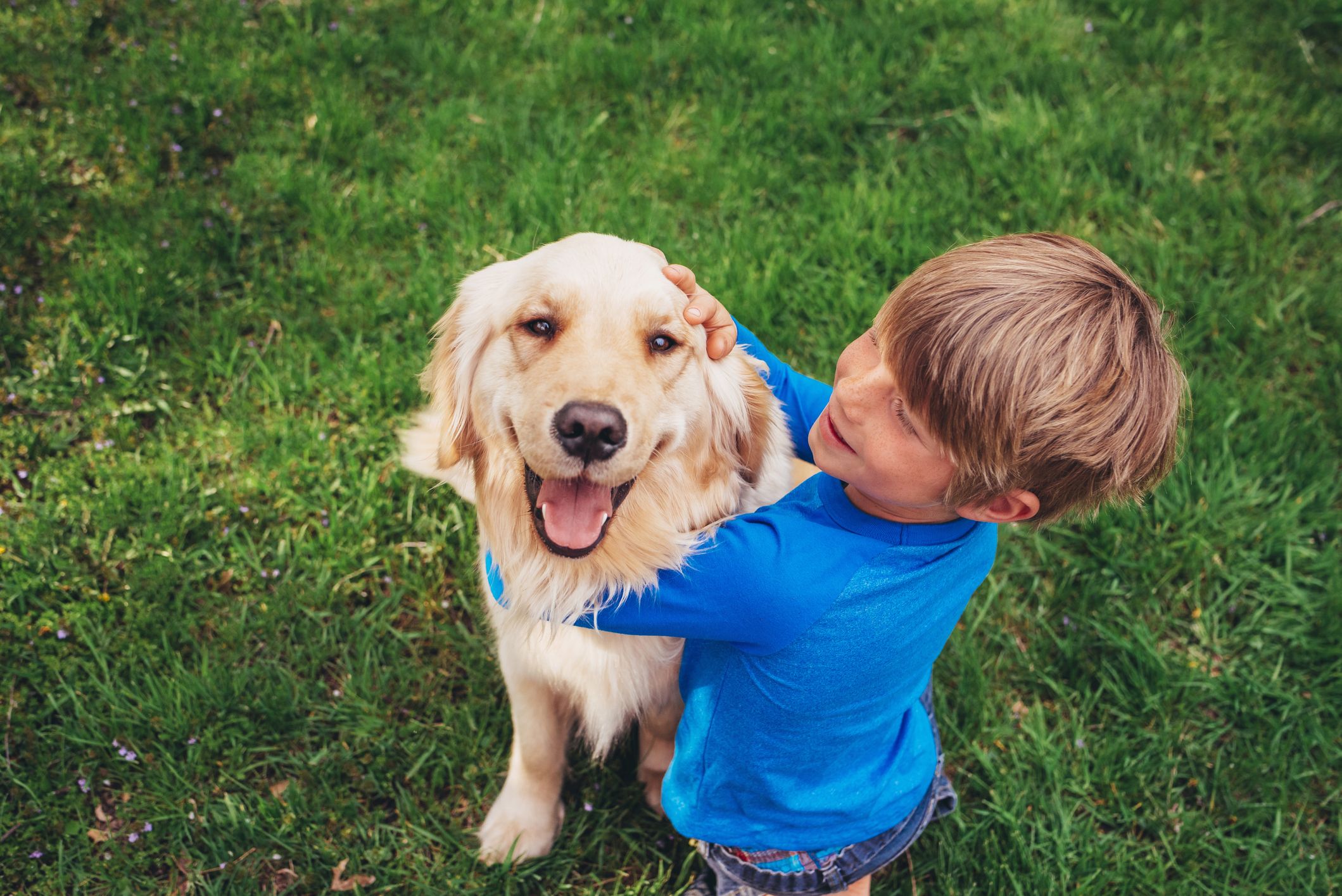 loyalty pictures with dogs