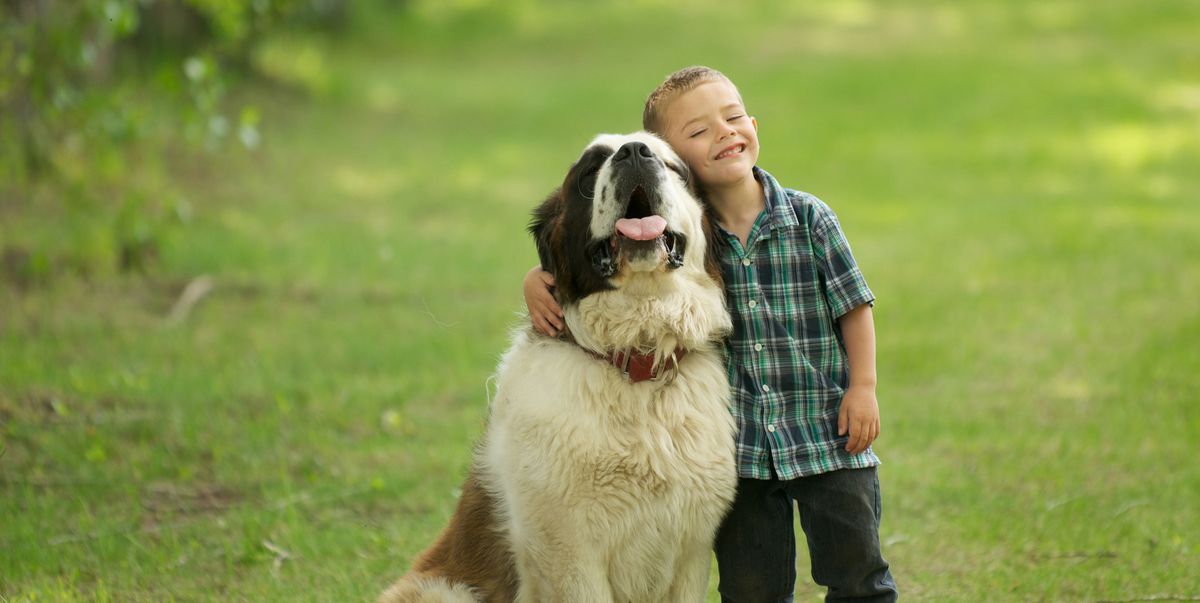 Boy with his dog