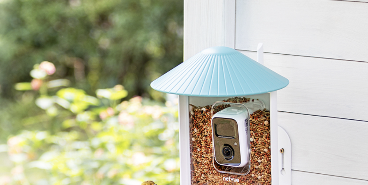 The Netvue Birdfy is our favorite bird feeder camera, and it's now over 30%  off