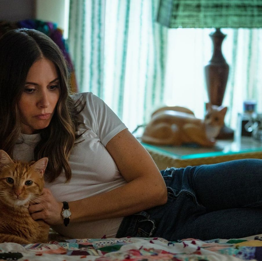 a lonely woman pets a cat in a scene from somebody i used to know