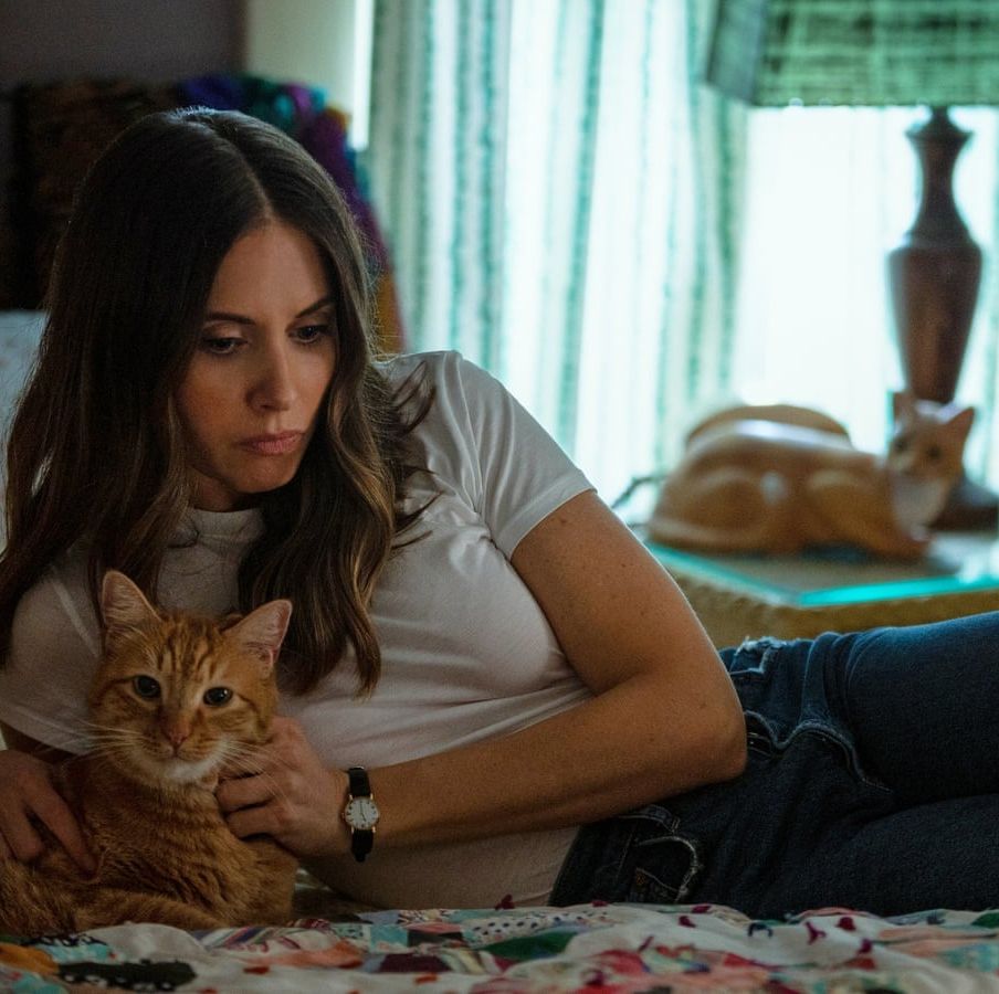 a lonely woman pets a cat in a scene from somebody i used to know