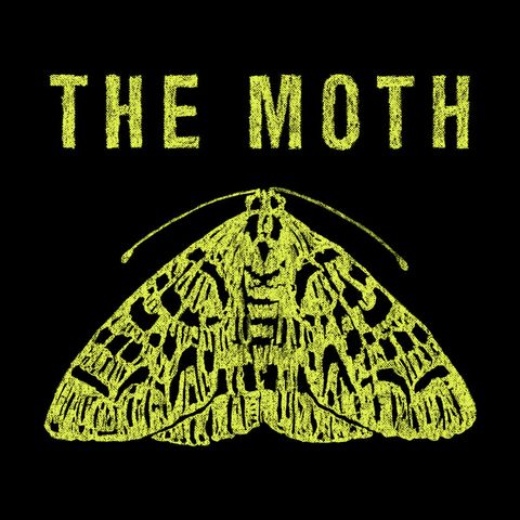 Moth, Text, Font, Moths and butterflies, Symmetry, Organism, Insect, Illustration, Logo, Pollinator, 