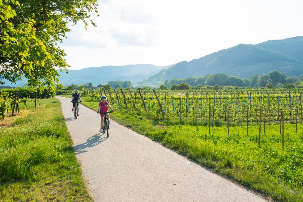 in de wachauvallei in oostenrijk fiets je langs wijngaarden