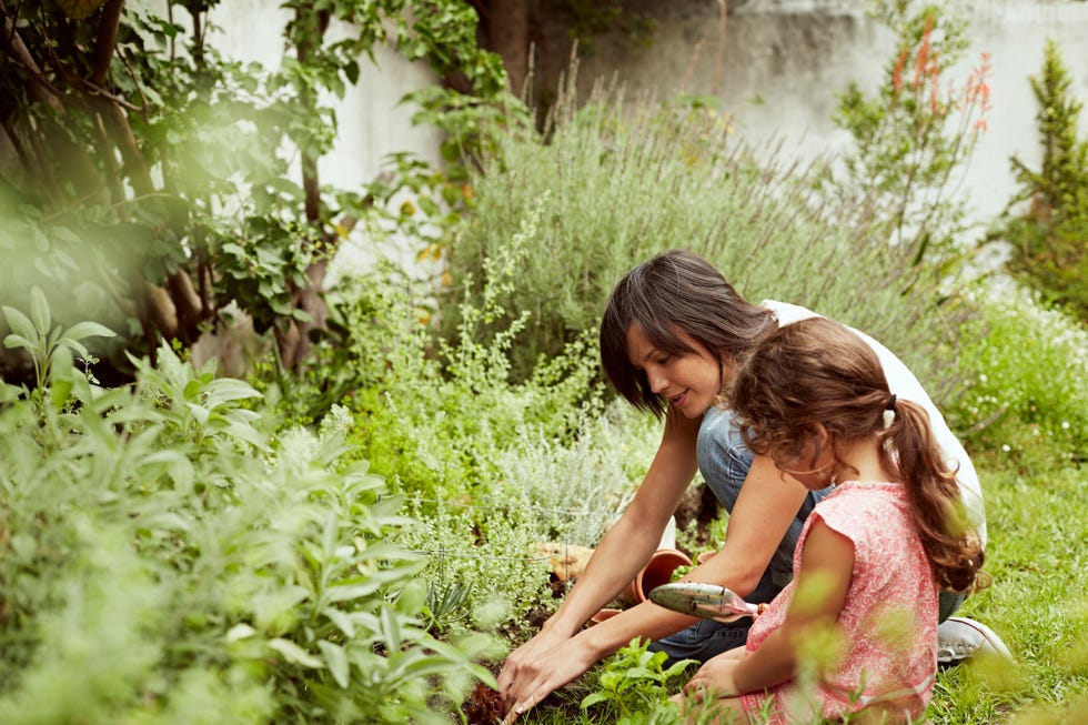 mother and daughter gardening