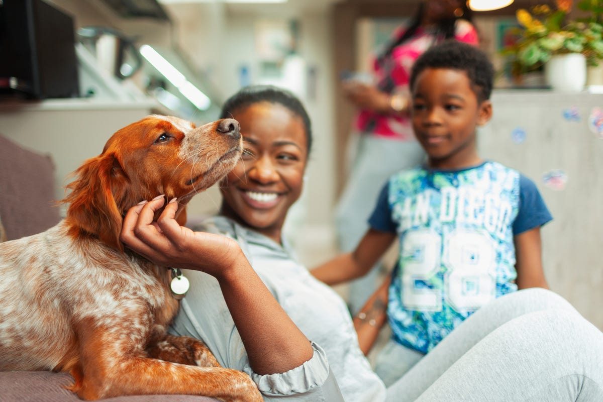 Dit is waarom je hond je aanstaart wanneer hij aan het poepen is