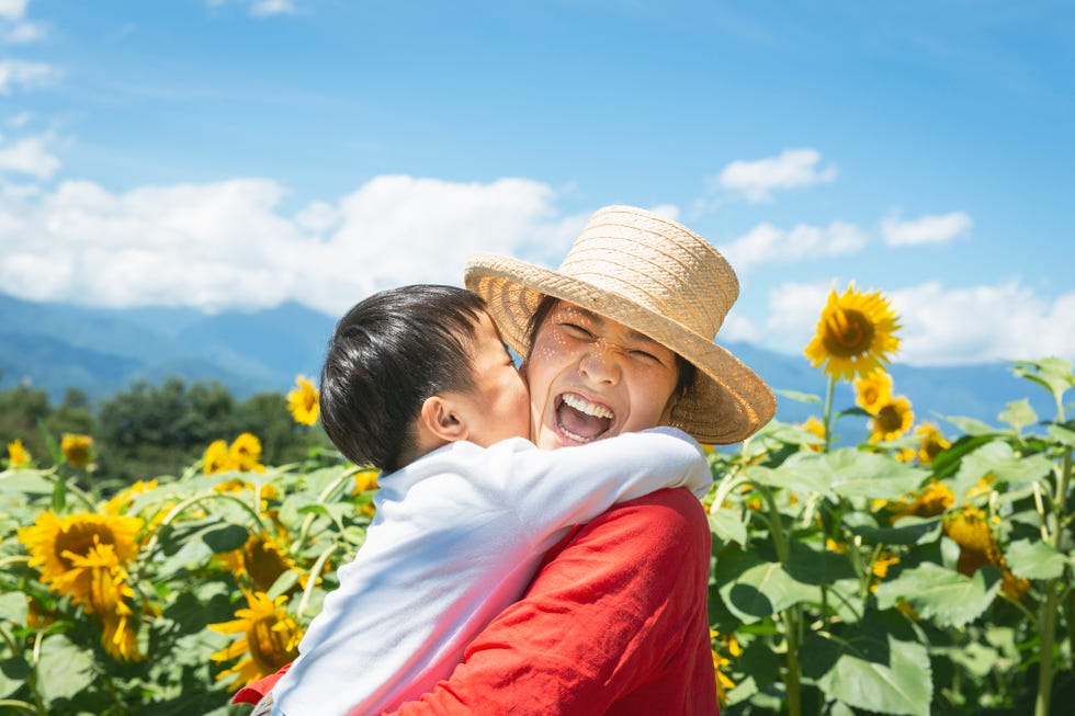 summer activities sunflowers