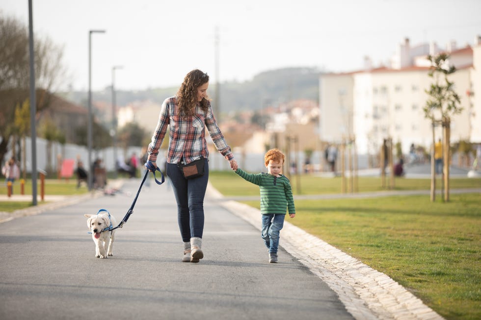 jobs for stay at home moms - Mother and son walking with pet puppy on quiet road