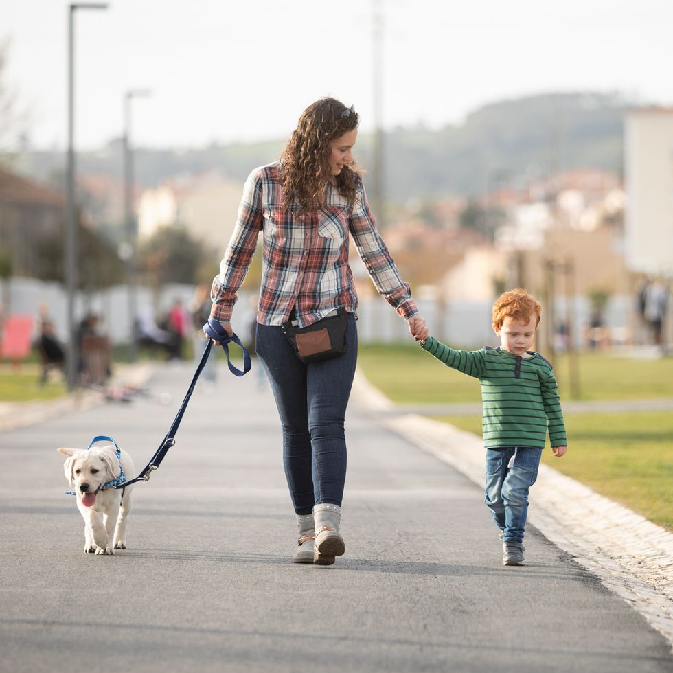 jobs for stay at home moms - Mother and son walking with pet puppy on quiet road