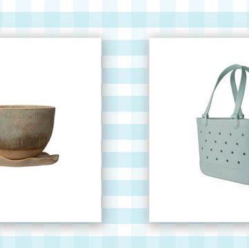 a planter that looks like a snail and a rubber tote bag on a blue and white gingham background