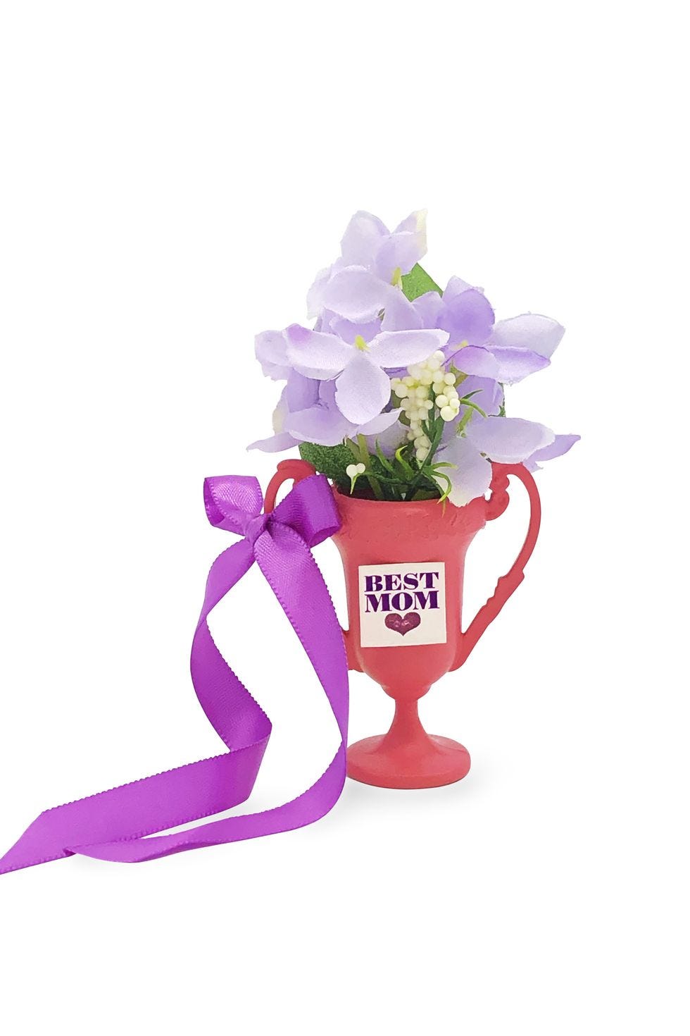 diy gifts for moms  mom trophy