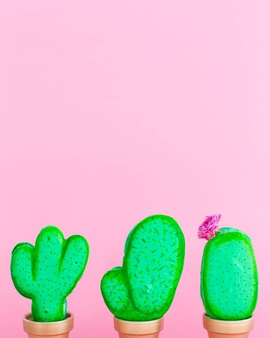 mothers day crafts cactus macarons