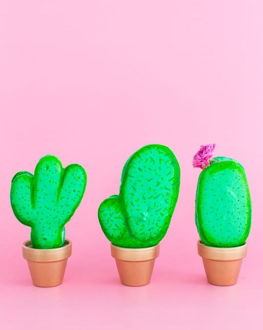 Mother's Day handmade cactus macarons