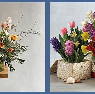a group of flowers in baskets