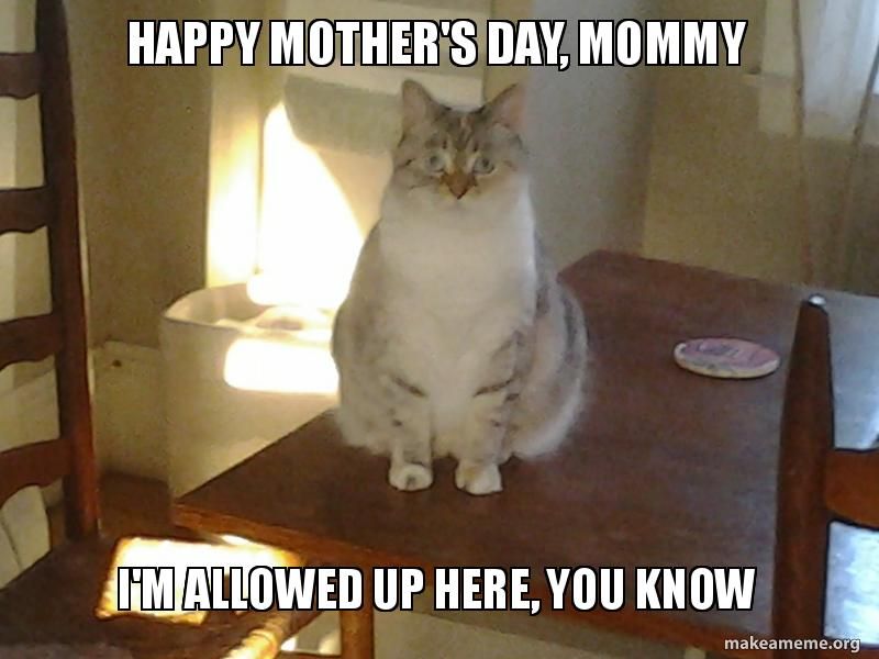 MLB Memes - Happy Mother's Day to all the awesome moms out