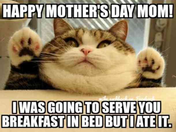 47 Mothers Day Memes Shell Love In 2024 Funniest Memes For Moms