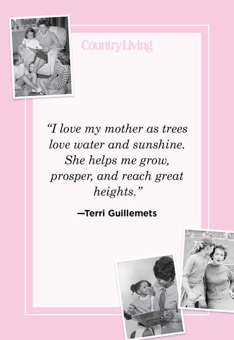 mother's day quote by terri guillemets