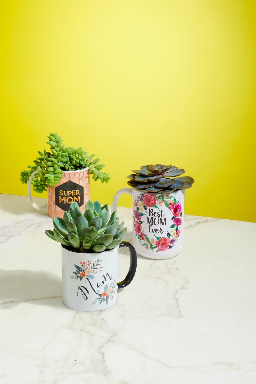 mother's day succulent mugs