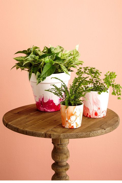 Flowerpot, Flower, Plant, Pink, Houseplant, Table, Cut flowers, Bouquet, Vase, Furniture, 