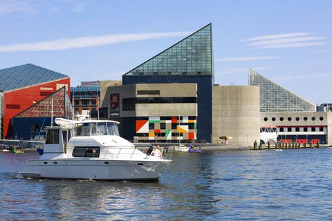 motorboat at a harbor, inner harbor, baltimore, maryland, usa