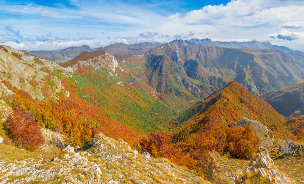 mount autore livata subiaco, italy foliage in the mountain of roma