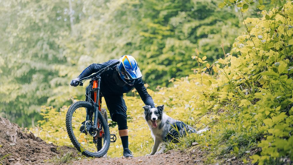 bikejoring